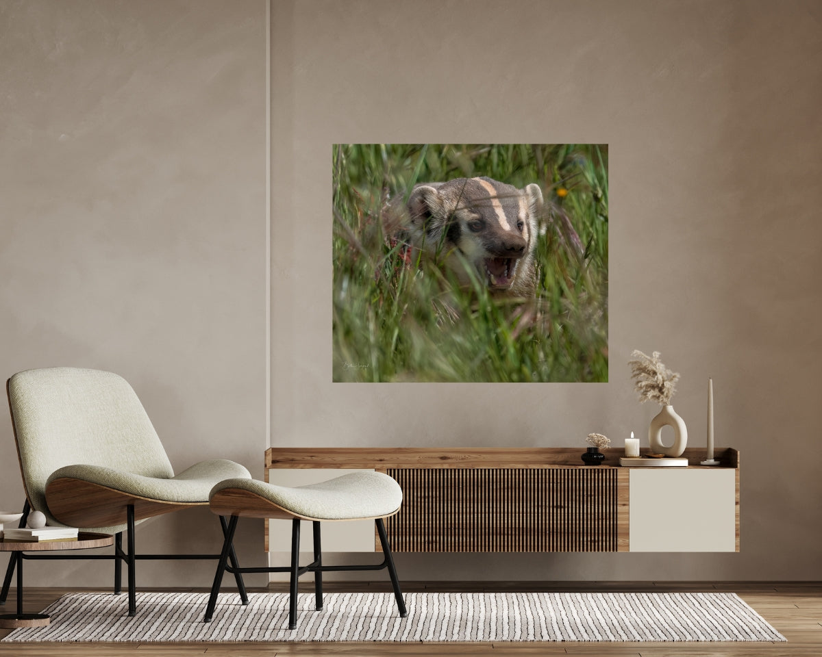 Badger