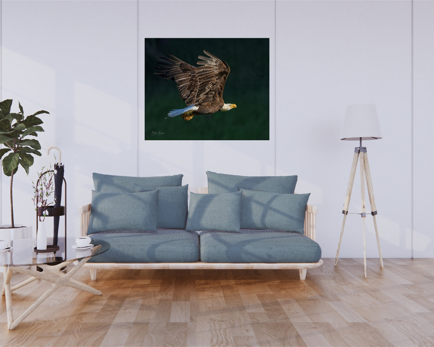 Bald Eagle Close Flight