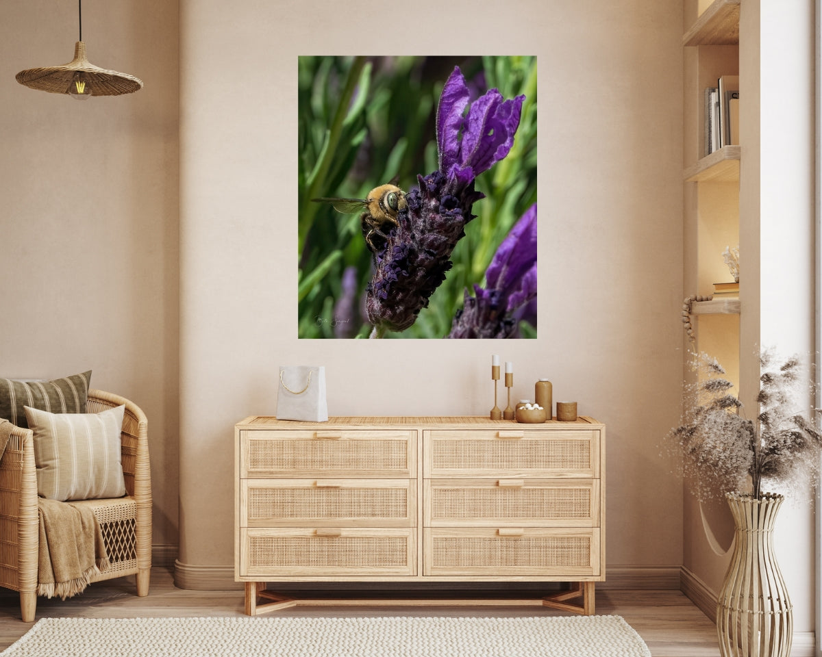 Bee On Purple Flowers