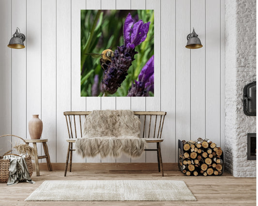 Bee On Purple Flowers