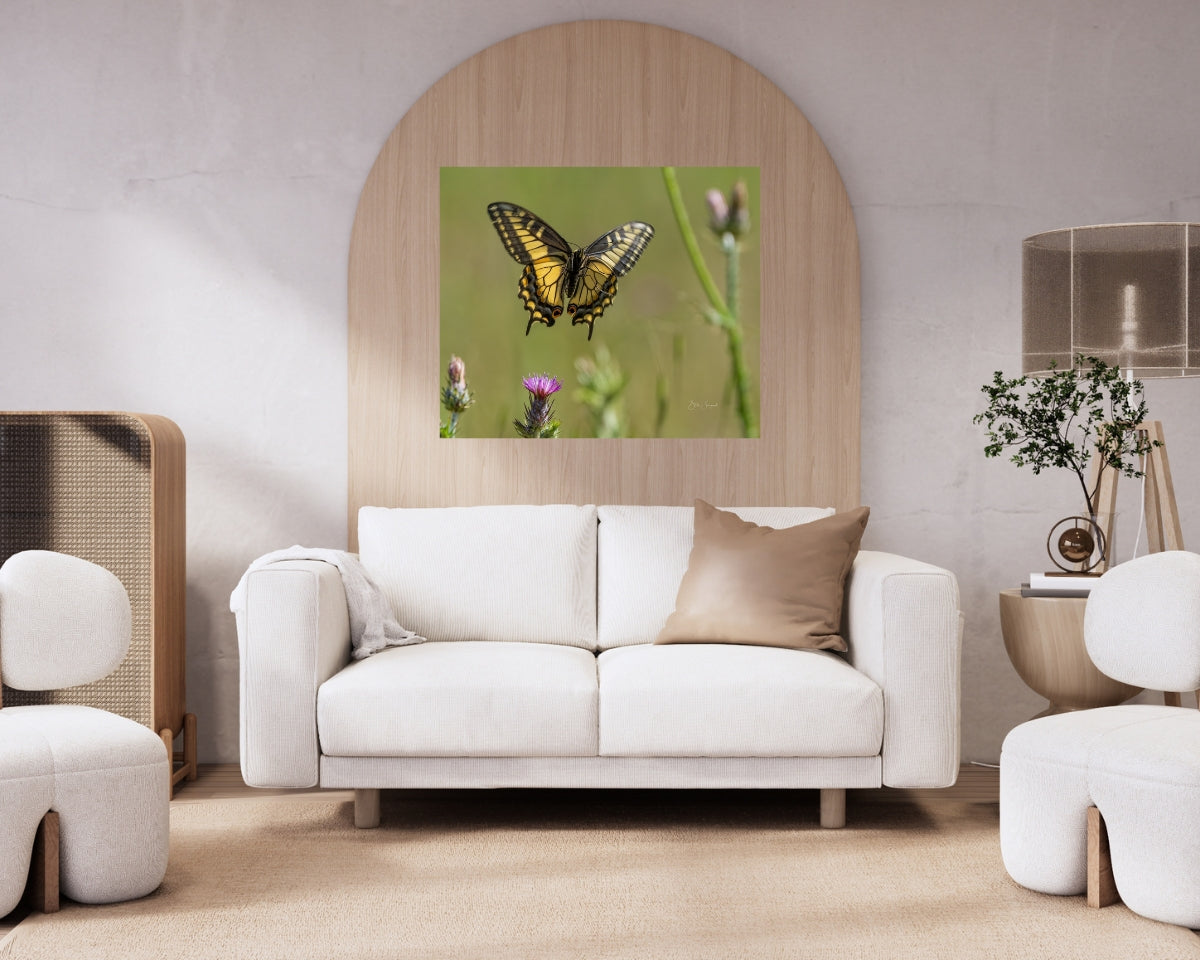Butterfly In Flight