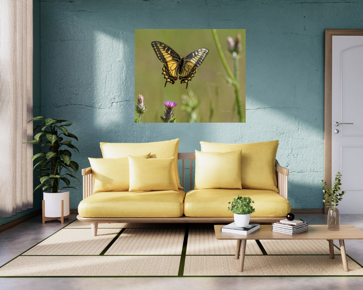 Butterfly In Flight