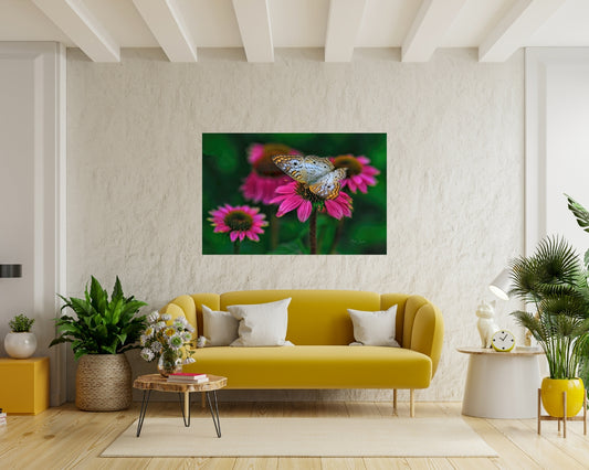 Butterfly On Pink Flowers
