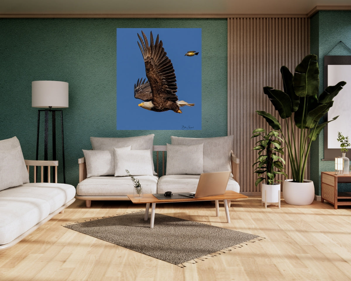Eagle And King Bird