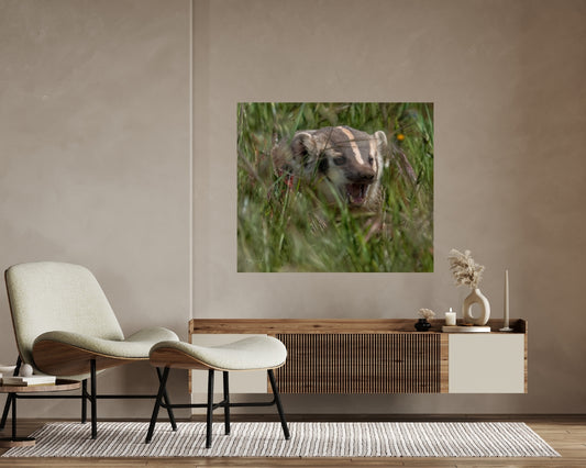Badger