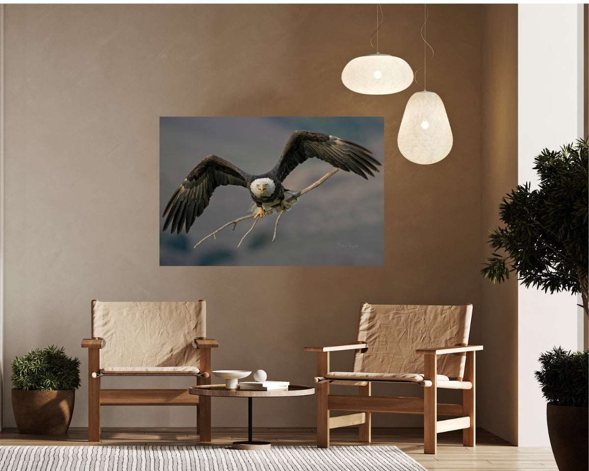 Bald Eagle Incoming