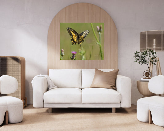 Butterfly In Flight