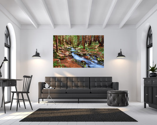 Enchanted Forest