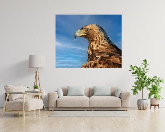 Golden Eagle