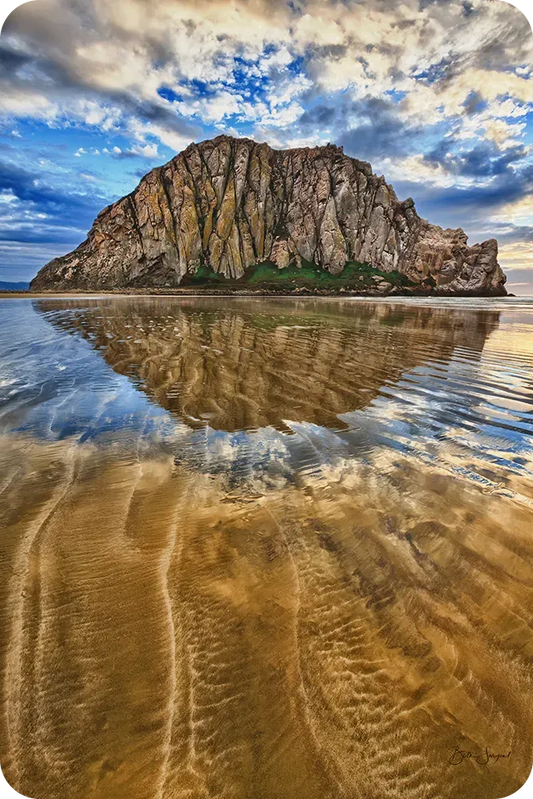 Liquid Reflections