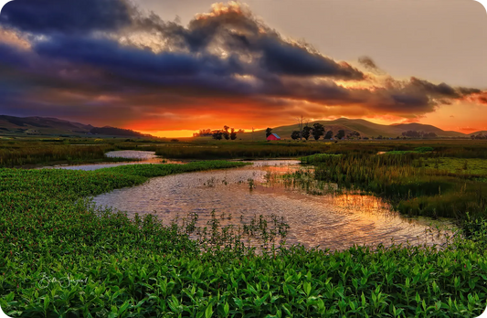 Los Osos Valley