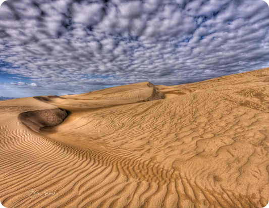 Magic Of The Dunes