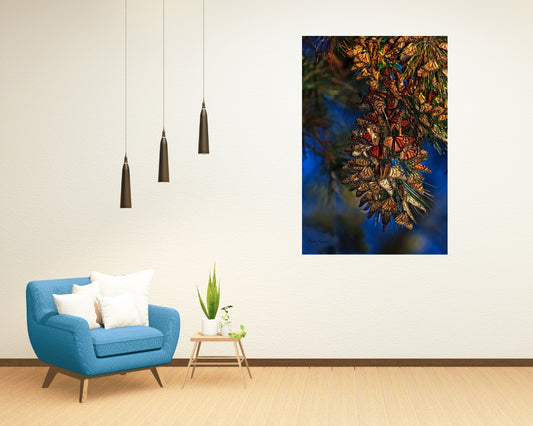 Monarch Cluster