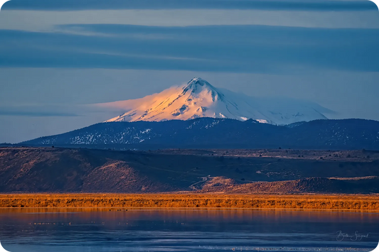 Mt Shasta