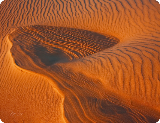 Woman In The Dunes