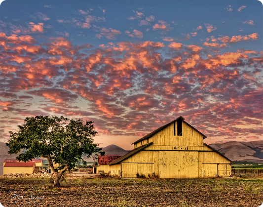 Yellow Barn